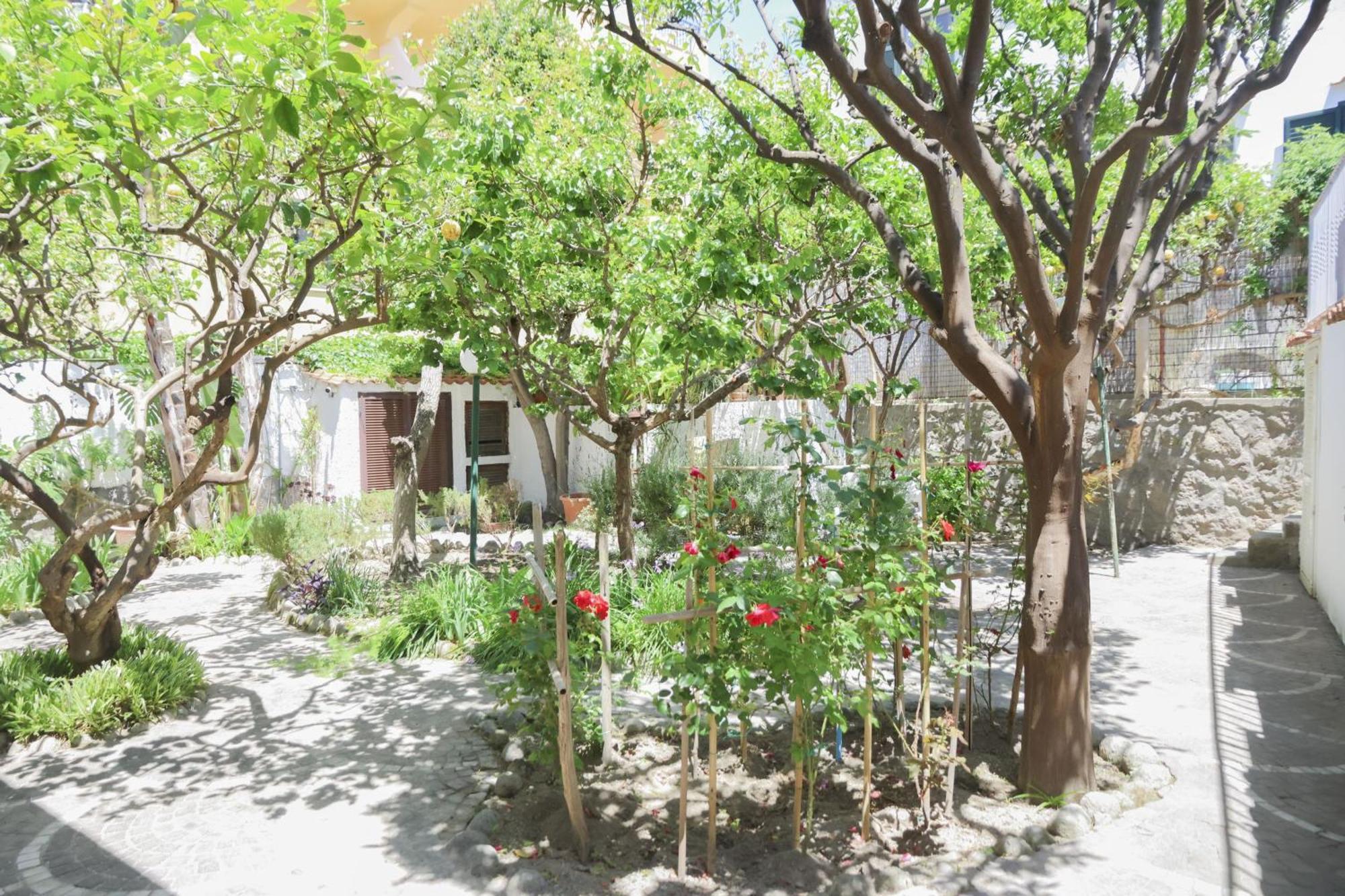 Hotel Cesotta Forio  ภายนอก รูปภาพ